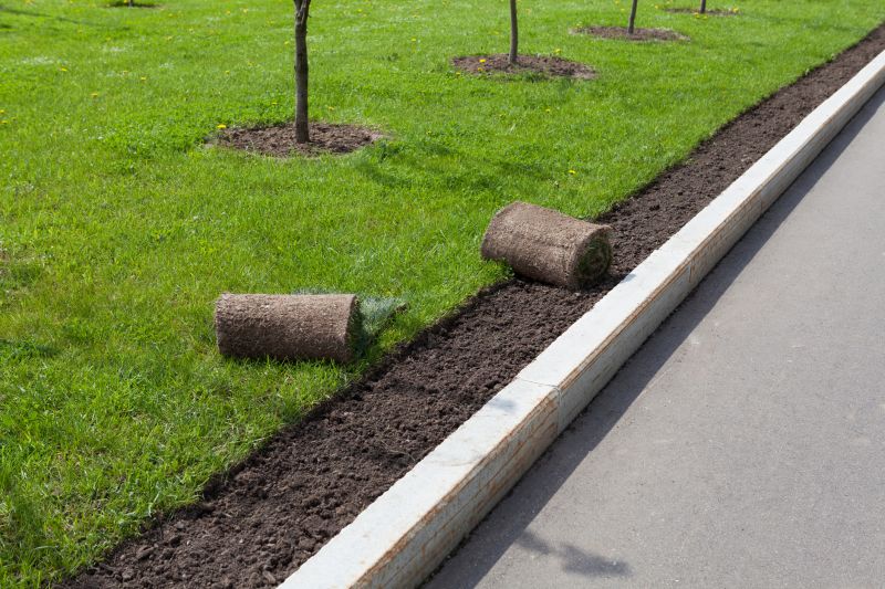 Curb and Sidewalk with Street Trees