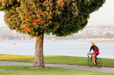 Provide a Safe Area for Cyclists